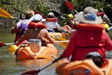 Connected kayaks