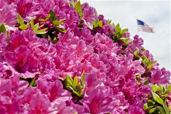 Springtime for Eglin