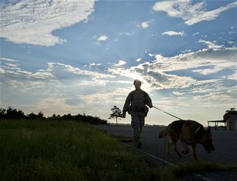 Sniffing around