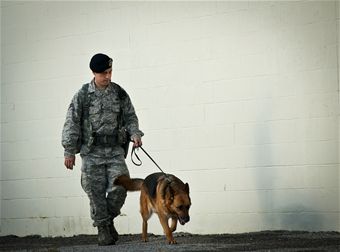 Exercise Inspection
